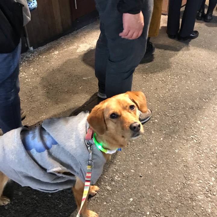 9d2004b0 4702 478e bccd e1e9d1a432d9 1542967335989