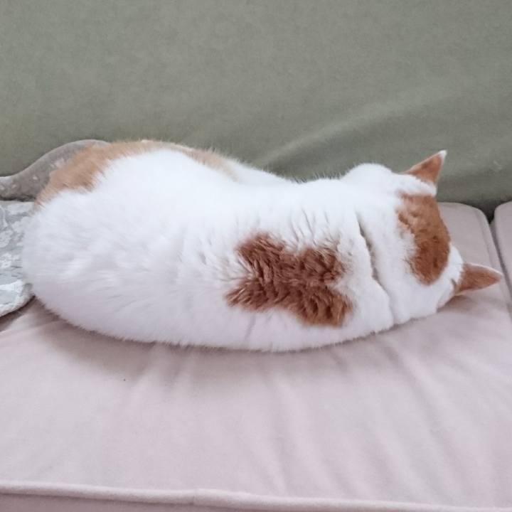 9d203208 2f9d 4322 b644 8ca87adb3a94 1539605719814