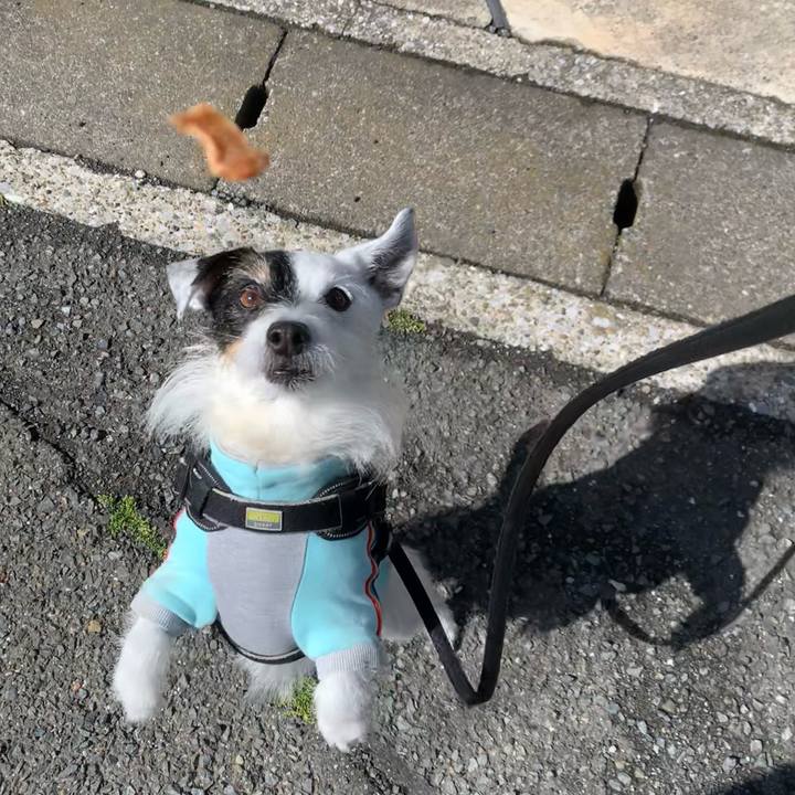 9d20580e e021 449d 86e3 ede54cefb72a 1746576688203