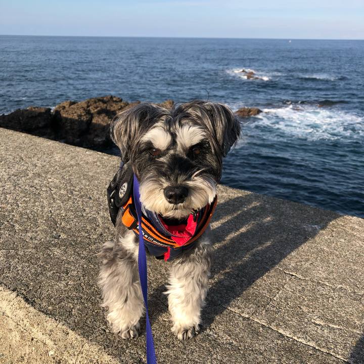 9d2092e7 1c50 4475 93f5 2e163de6f587 1703937805470