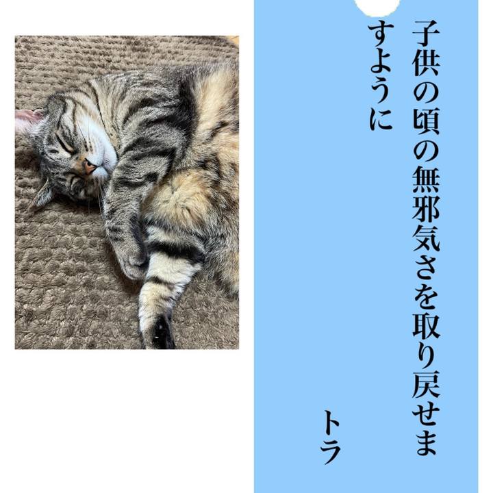 9d20db34 0cf5 4c72 8c52 8b5cdcbeb22d 1625617227527