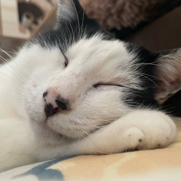 9d21264b 97dc 4c59 a467 ad80839d77f3 1718429248082