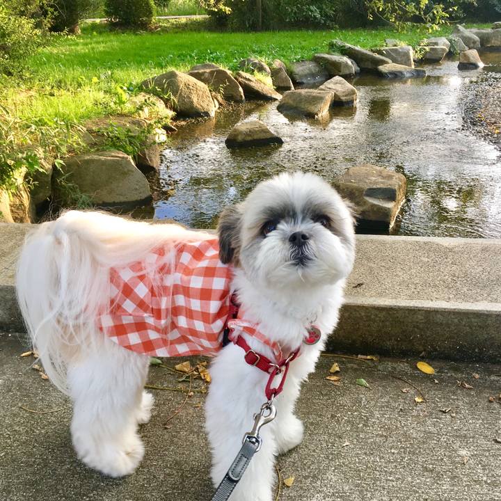 9d217448 83d9 4bf8 a804 4e00d4b5f929 1537734442267