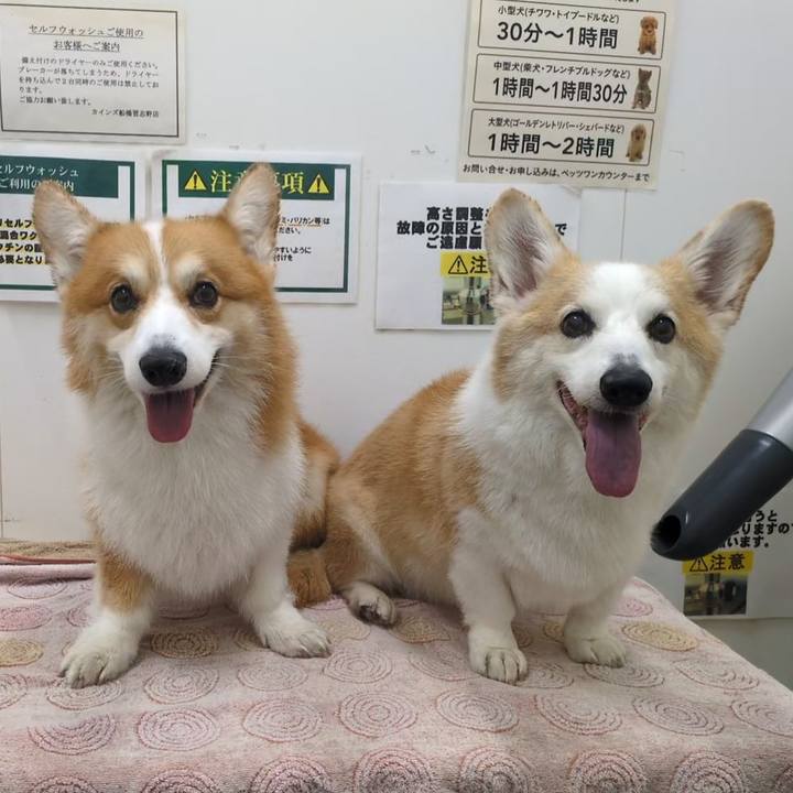 9d21879a e0fe 4086 8335 0744c6c87849 1760604704930