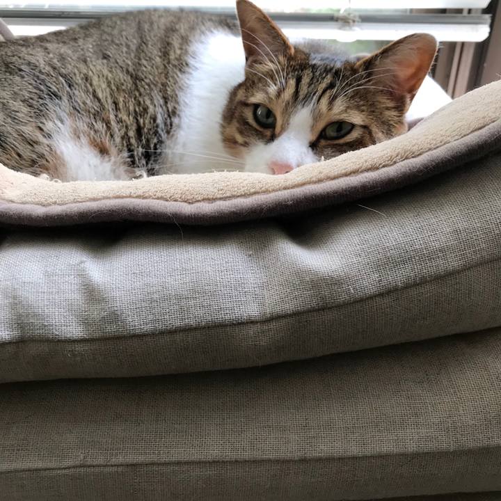 9d21b433 72e7 468d bad6 169ad4c755f0 1550123034523