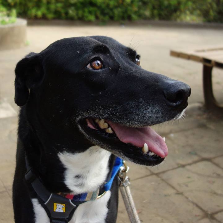 9d21c5e6 46e9 4678 87a7 6a0706e3c172 1649810682831