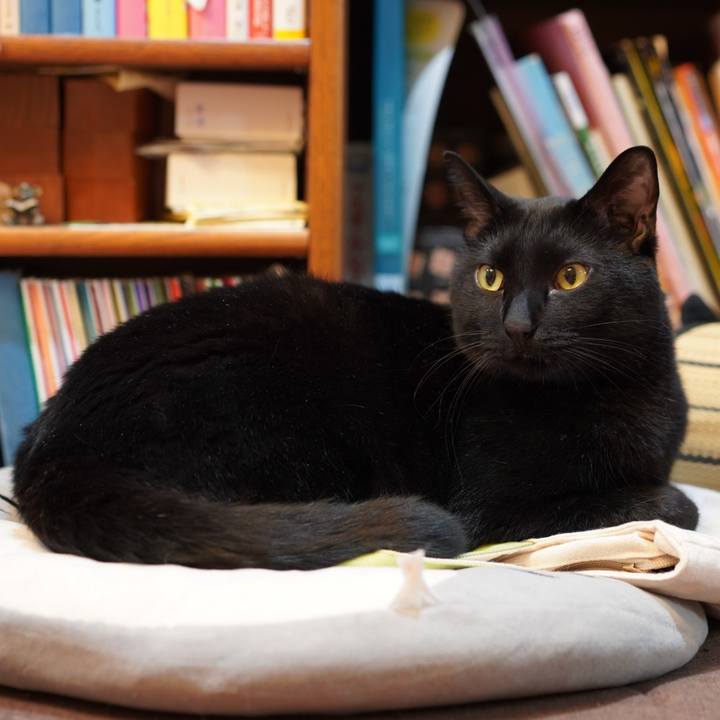 9d21cf89 9e93 42b5 9ff8 f21608dfa691 1619442628501