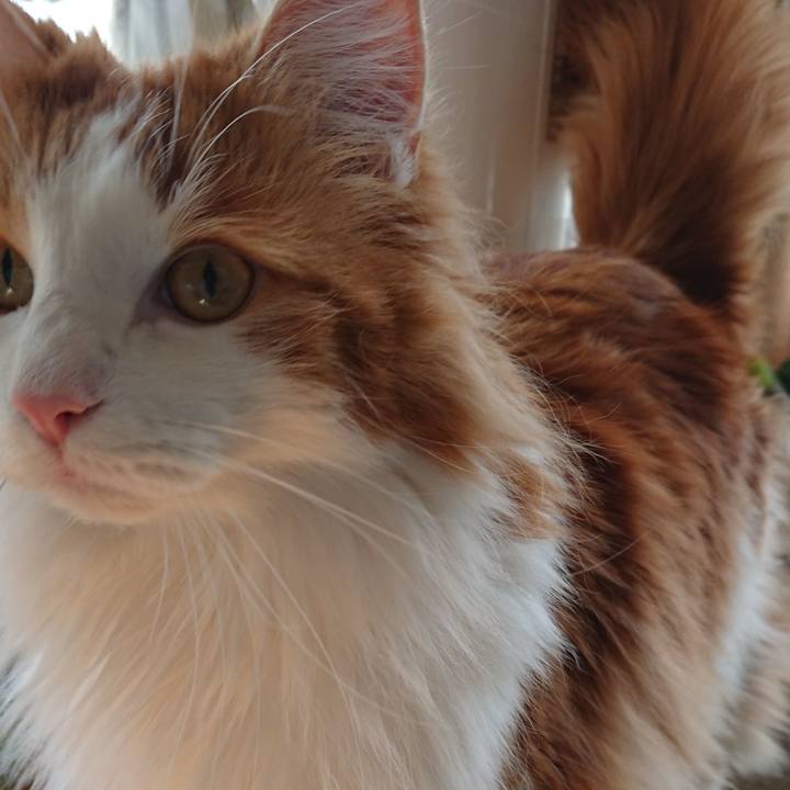 9d21dd51 8973 4d6f a873 664a5206864a 1550634734410