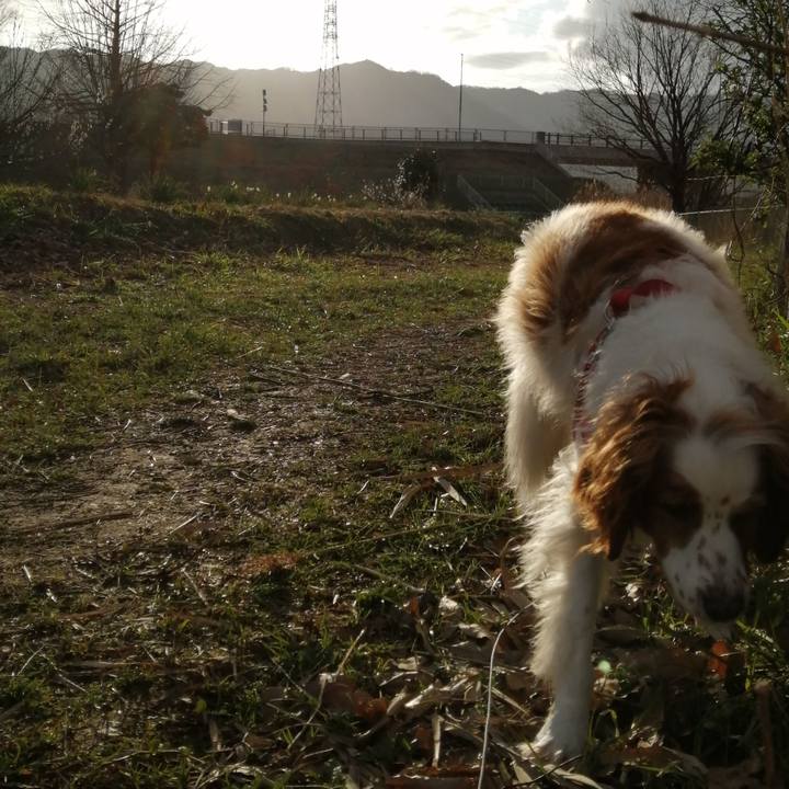 9d21e1f8 3404 49ee b1e1 b454e665dfdb 1582852899469