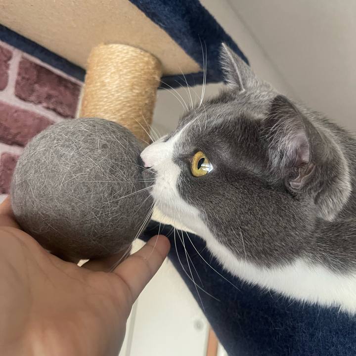 9d21f5f8 2ed1 4fc7 bd05 85fc58a3af95 1735433856929