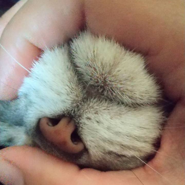 9d220c80 0b82 46c1 be3b 4b53bf0f2893 1649142969755