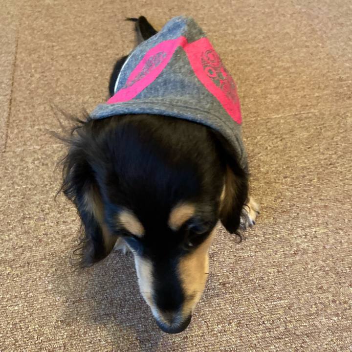 9d22770c 2fcf 44e0 8978 65f1c2635fae 1669873274746