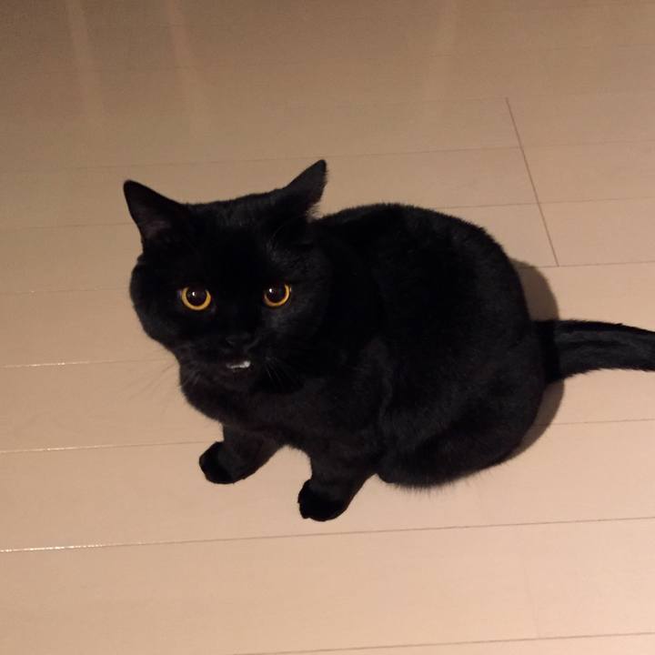 9d22e9e0 1311 4d72 851e 9f386e6f8b6a 1587210030174