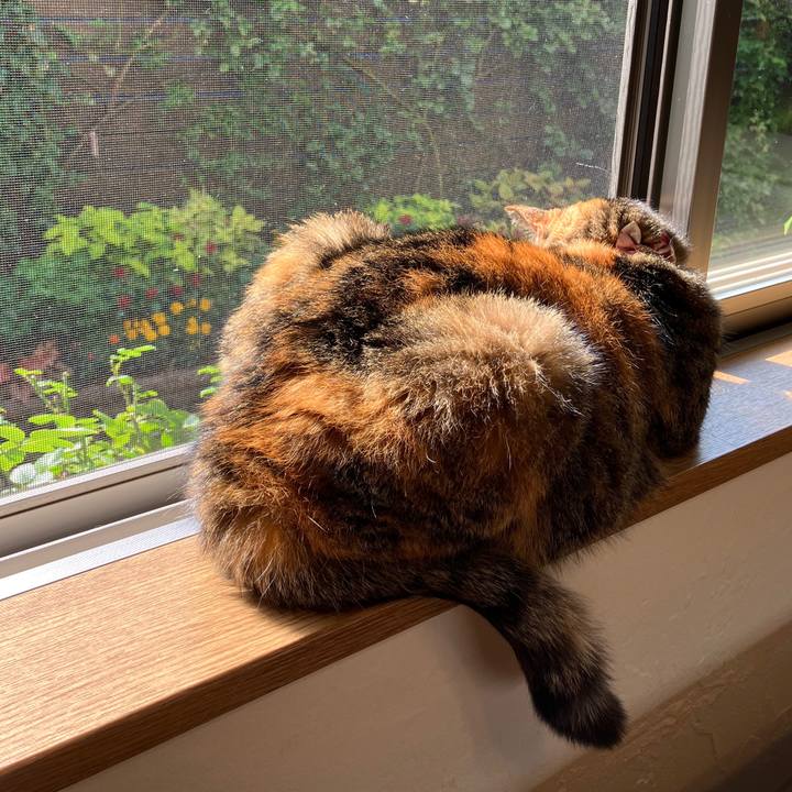 9d22f9ee 20de 486c 96fe d7122ce3a196 1760499919292