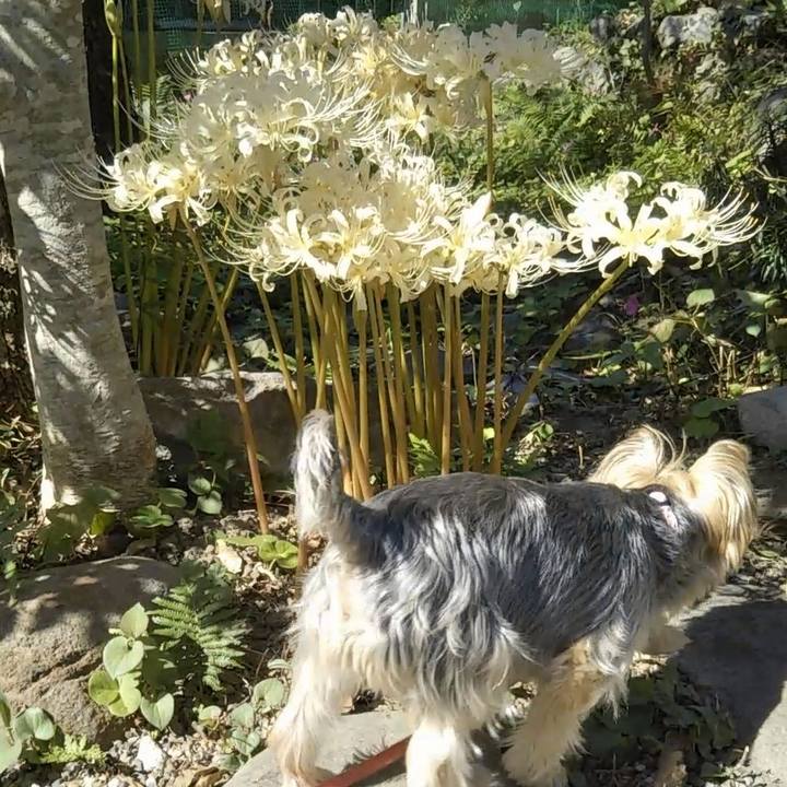 9d22ff91 797c 477a ad7d 12ea7ead329e 1696224779685