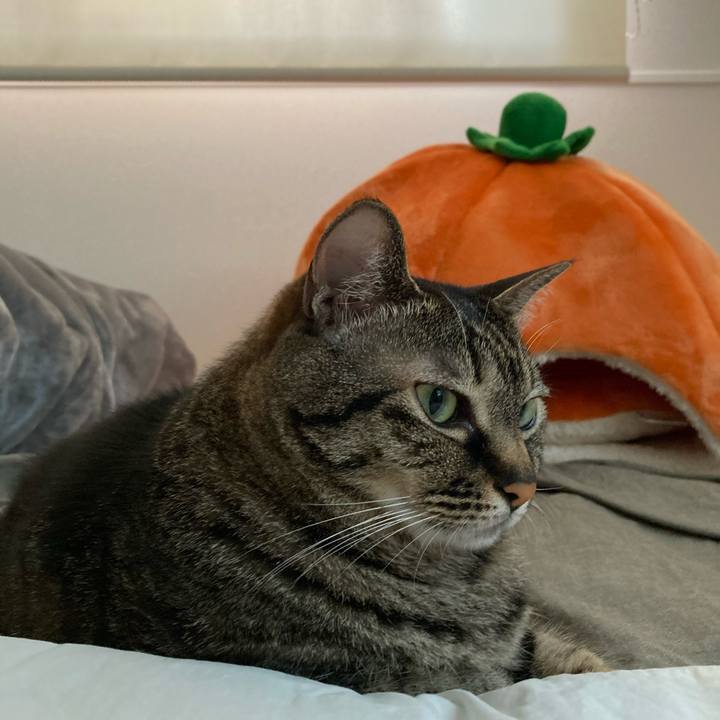 9d233b9c 3b75 48ae b33e 21b064887028 1620117582952