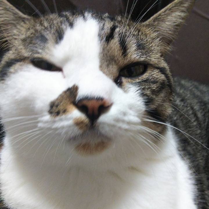 9d235851 1cd0 499b 9a7b 0b69ac4cd024 1658114901683