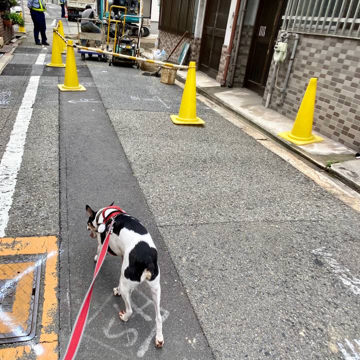 9d2363f4 0286 43ad ab92 44302268b013 1593333280256