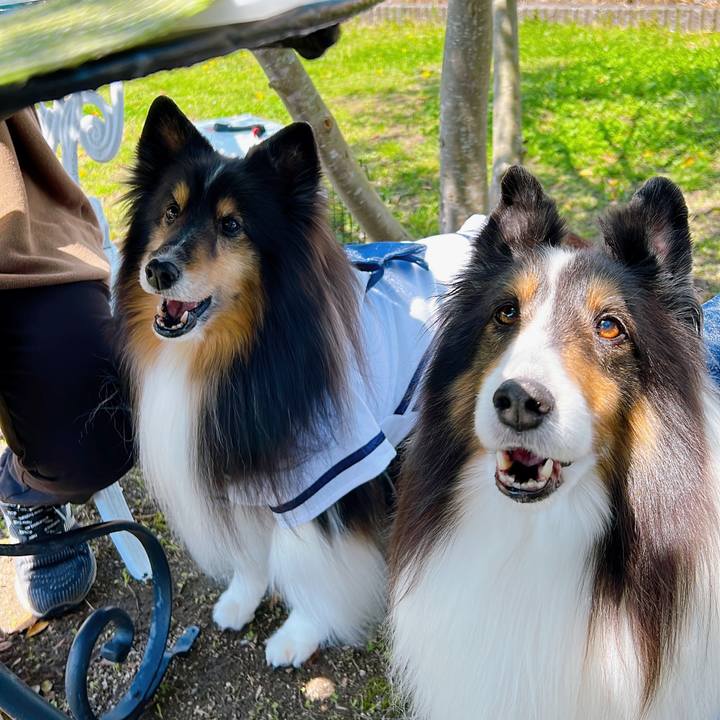 9d2371e3 1d80 4e7e 9b9b 9c37361ff0e5 1681056892718