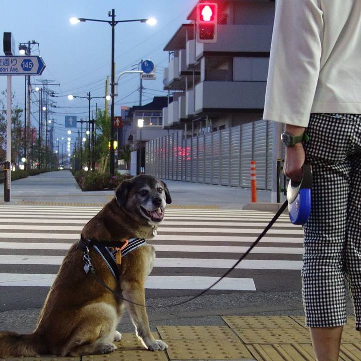 9d23c6ab 4792 4614 8e93 c8b1dd0a3d31 1525001912078