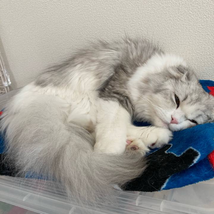 9d23ddf6 93f3 44d4 b82e e5af57b62526 1618654049202