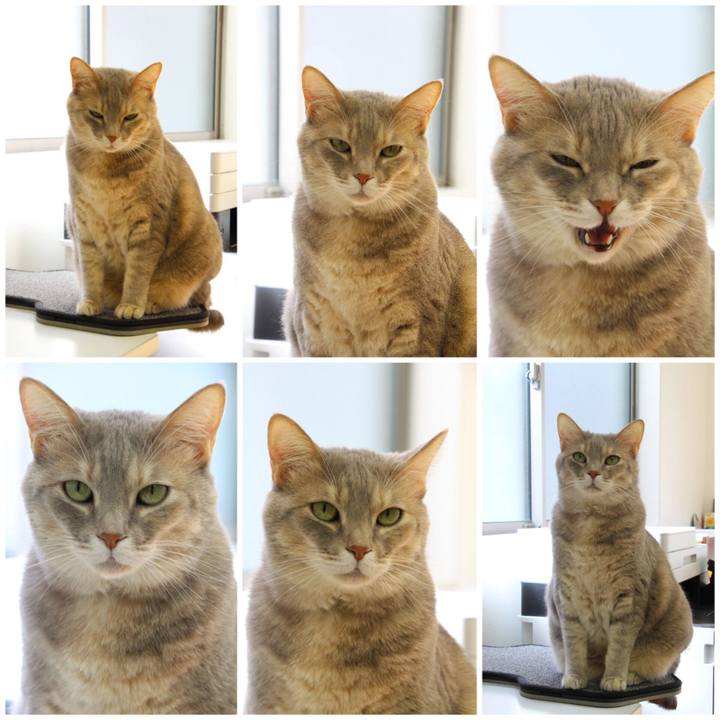 9d23f29f 6d0e 4bd8 9cf1 43cc7e5d4f8a 1700107044904