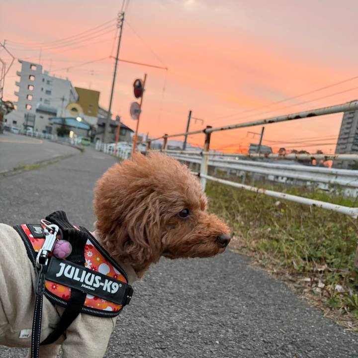 9d24053f 1f6c 4318 b139 b8cb55c3b4d4 1773789107694