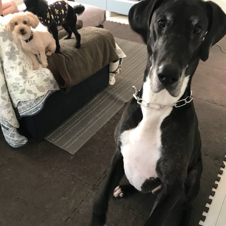 9d241c82 de50 4500 b4a0 c010cb91abb7 1510873444447