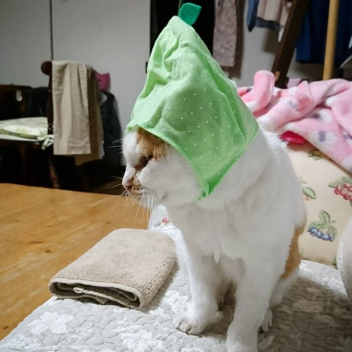 9d2447b5 3eba 4622 8a5b 2830fd676150 1692501782558