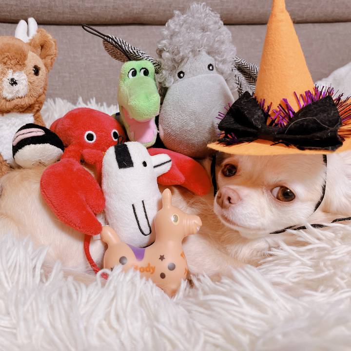 9d24789b 61fe 4a35 a9cb 5b467a7576bb 1666141311269