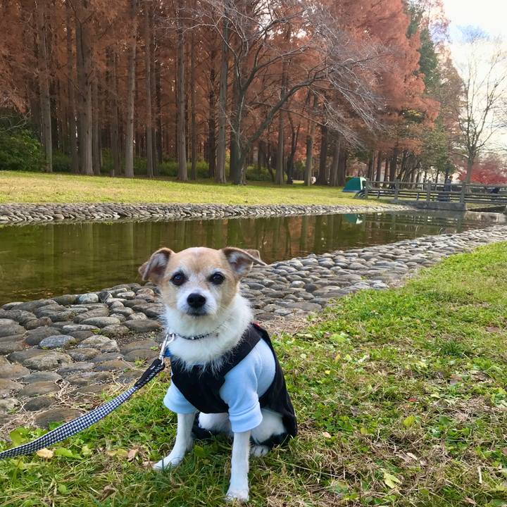 9d2487b8 1b1c 4857 80a6 e107b353d542 1639287721743