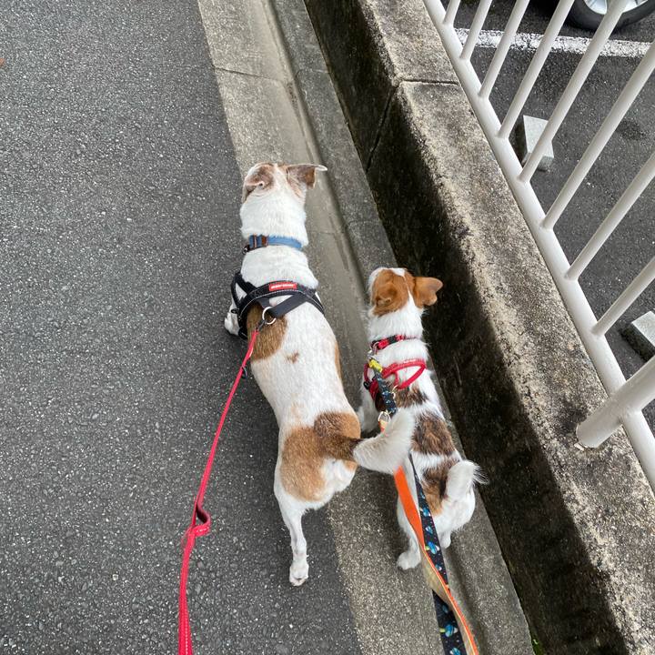 9d24e157 0737 4c4d ab35 260934683bee 1621728529822