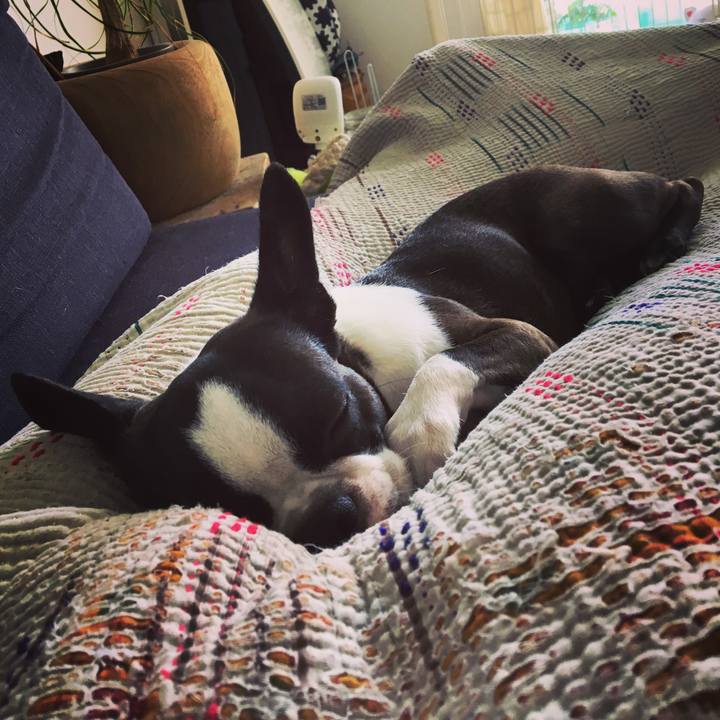 9d24f888 2658 4cc5 af35 54f315ec7113 1536558195069