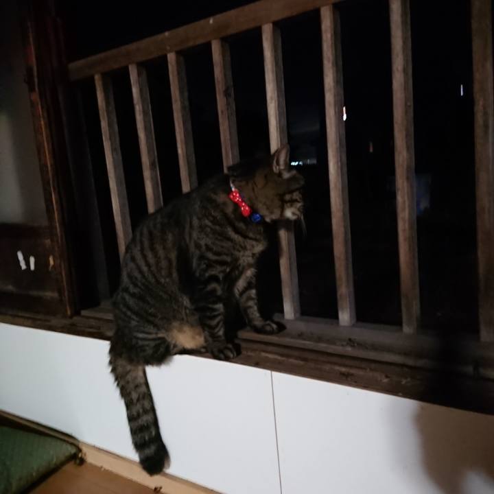 9d252b82 5dab 452a afc8 a92b82ec37c0 1662630877795