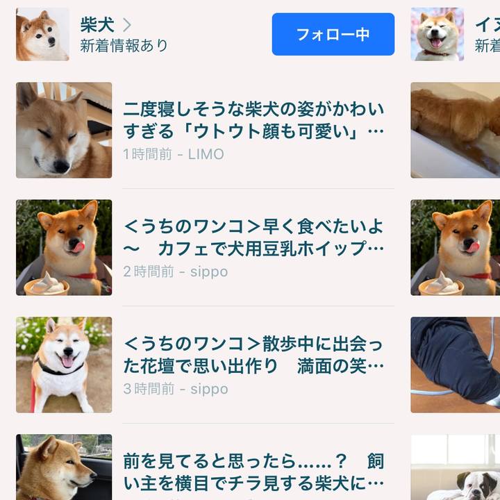 9d252ff9 4b58 453b bc9c aae5d53afe38 1685024710205