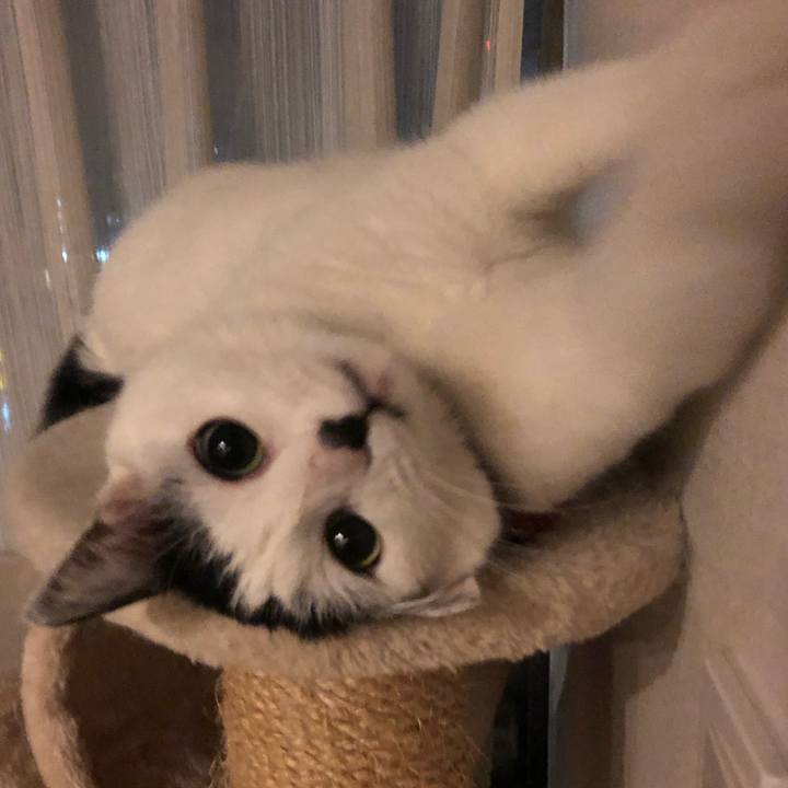 9d2561ed 560b 4037 b977 5bf4eb0dac04 1549461951990