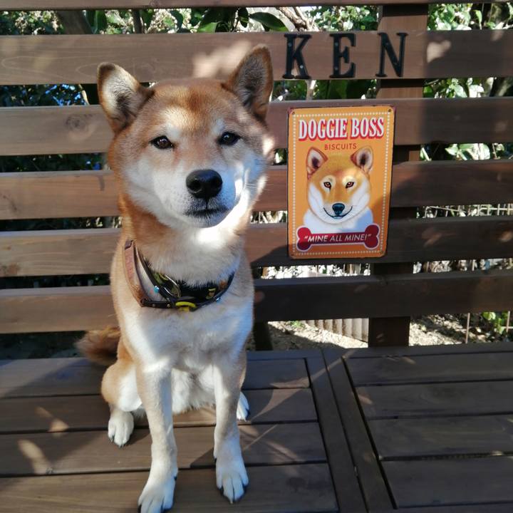 9d2587f9 d0d0 44df bf02 c052461e503f 1610170866886