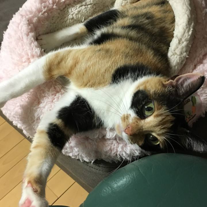 9d258b17 50b9 4273 bb16 6b6feafd4254 1510658441815