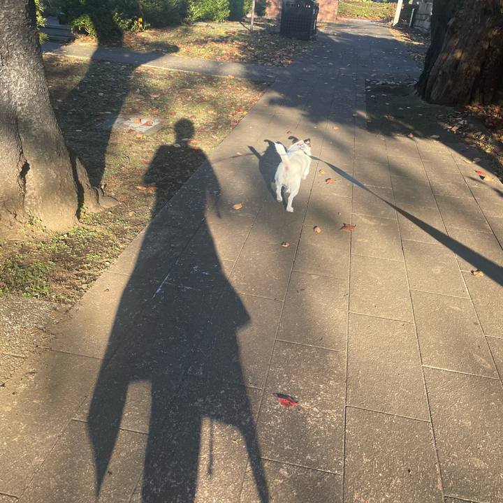 9d258e9e 57df 4d4e 8c96 68bb8d8cb534 1636620615986