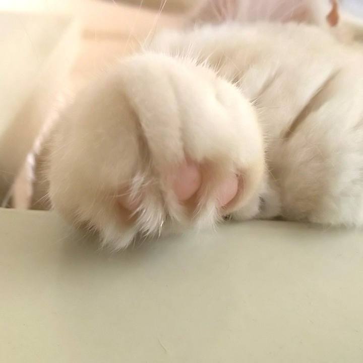 9d2596b8 8f64 4644 9812 7acb1156d2ad 1596010896230