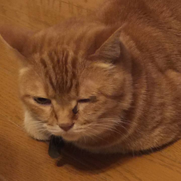 9d25b152 b94b 4ab2 a297 fd21b43f4013 1562596065304