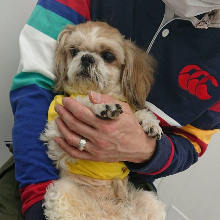 9d25e703 7485 4b3a 9c3c d8e85dbf3ded 1614764391352