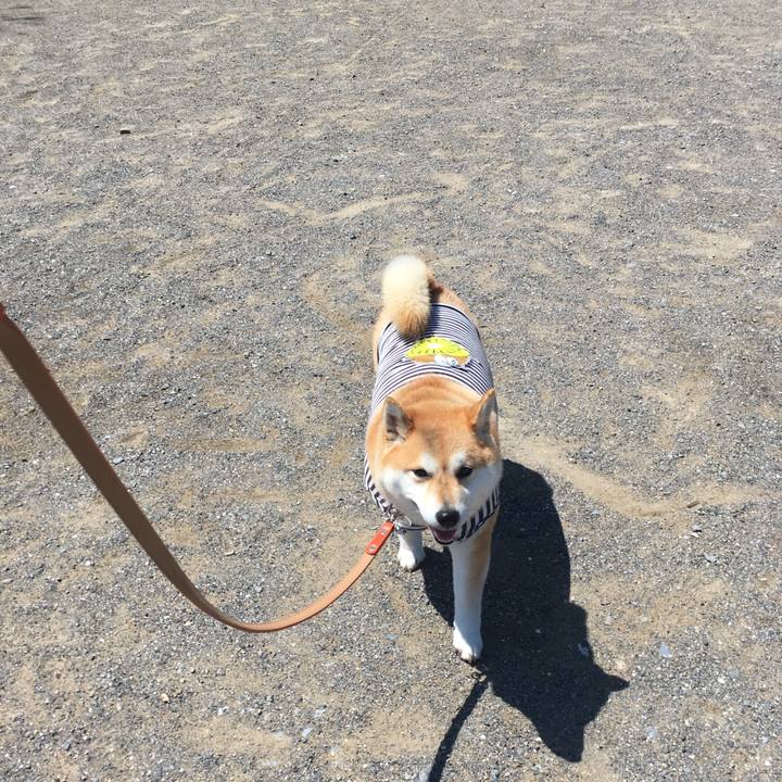 9d261ba0 51a6 4ca1 b34c 771037a00208 1555388511003