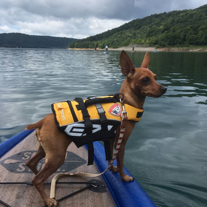 9d2653b0 5703 4bfd 9dcf d2c411289d97 1567585707655