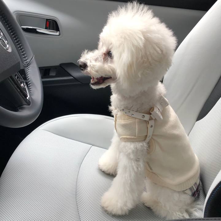 9d2658b4 57ae 46bd a899 d4e46f06e493 1603008088076