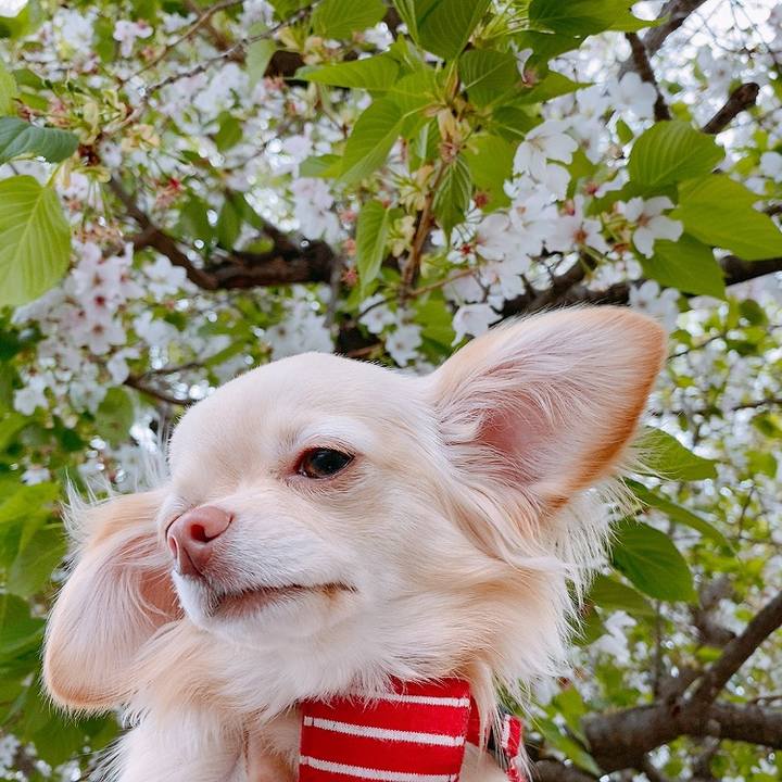 9d26c6bb 512b 4d67 88f4 cccc5bde6f65 1617141222144