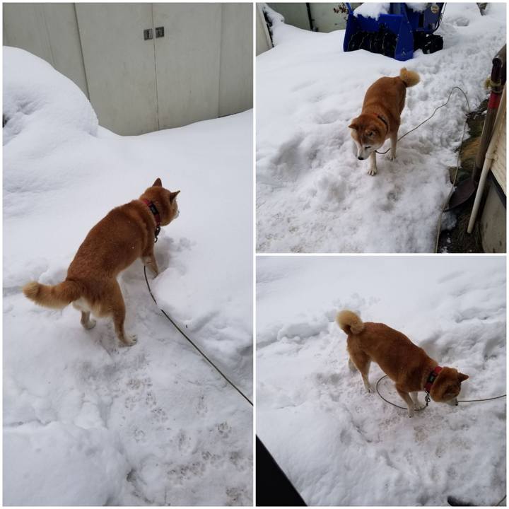 9d26d695 8ce0 465d a618 862b271afb34 1741479544150