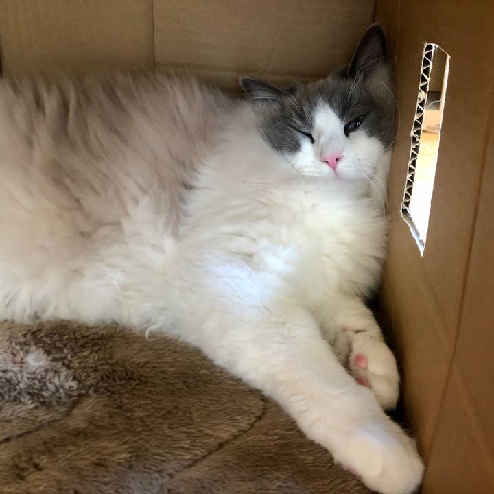 9d26f70d 32b7 4e31 b736 4fc68860b9b6 1611102292784