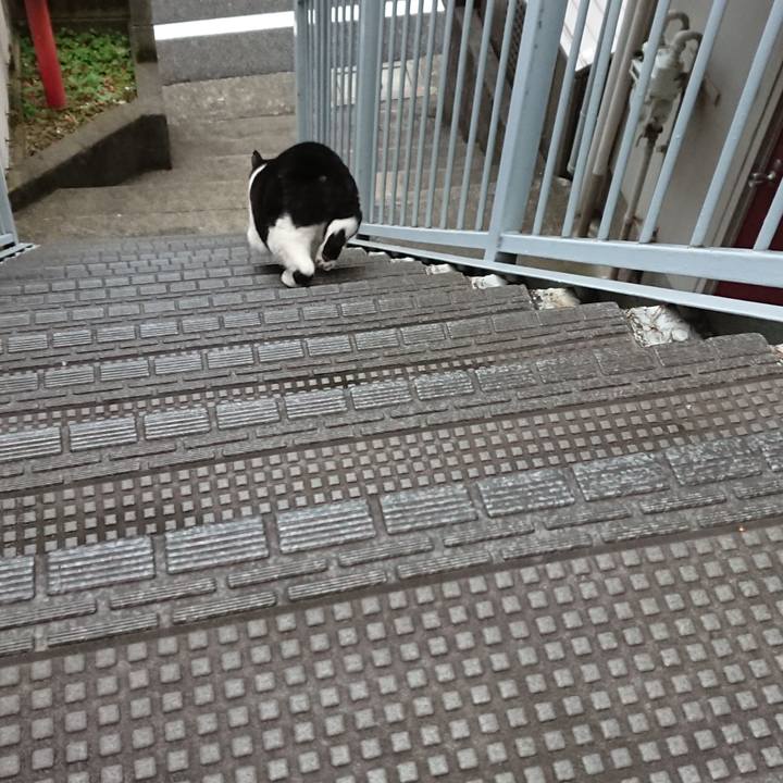 9d271859 36df 4315 b394 484d58a832fa 1602719577091