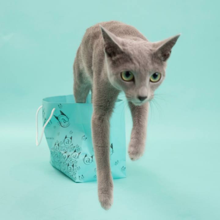 9d273cb9 bc64 45e7 a122 bc6a1602345d 1656370645542